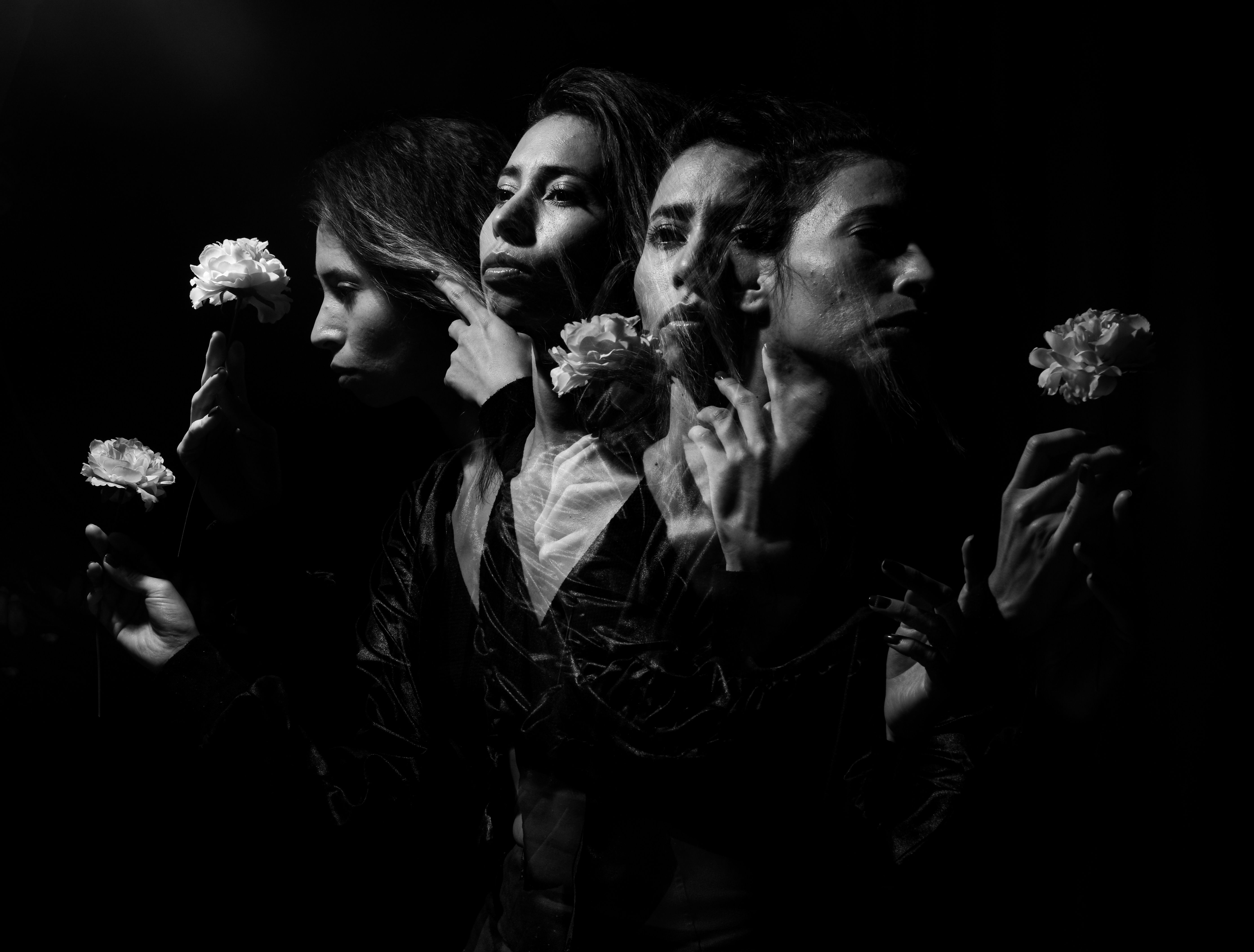 Galeria de Resultados